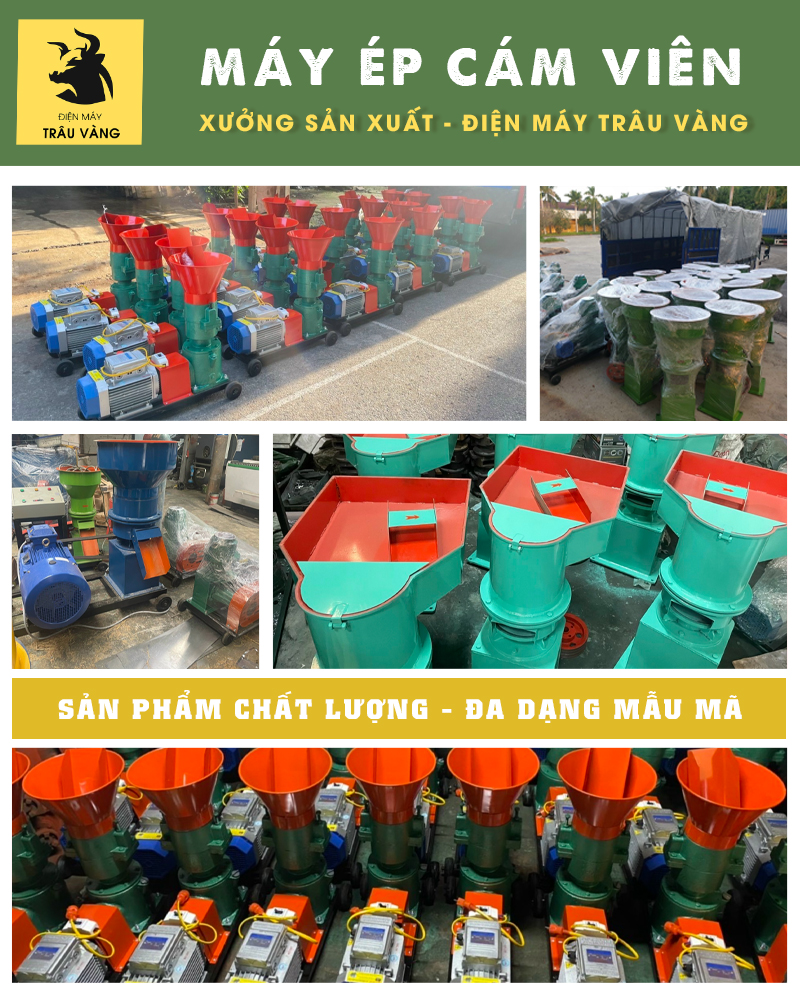 nhà xưởng Trâu Vàng